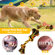 Load image into Gallery viewer, Luxury Dog Chew Toys for Small to Medium Aggressive Chewers - 12 Pack Tough Dog Toys for Medium Breed with Heavy Dog Rope Toys, Interactive Rope Puppy Teething Toys, Squeaky Dog Chew Toys